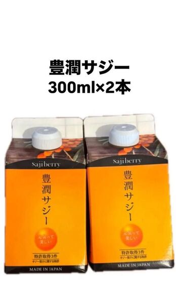 豊潤サジー 300ml×2本【お試し】