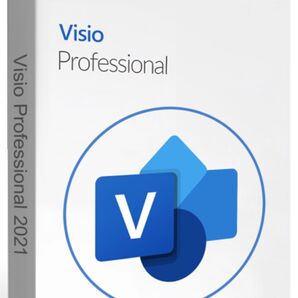 Visio Professional 2021 Retail 1PCリテール版 オンライン認証