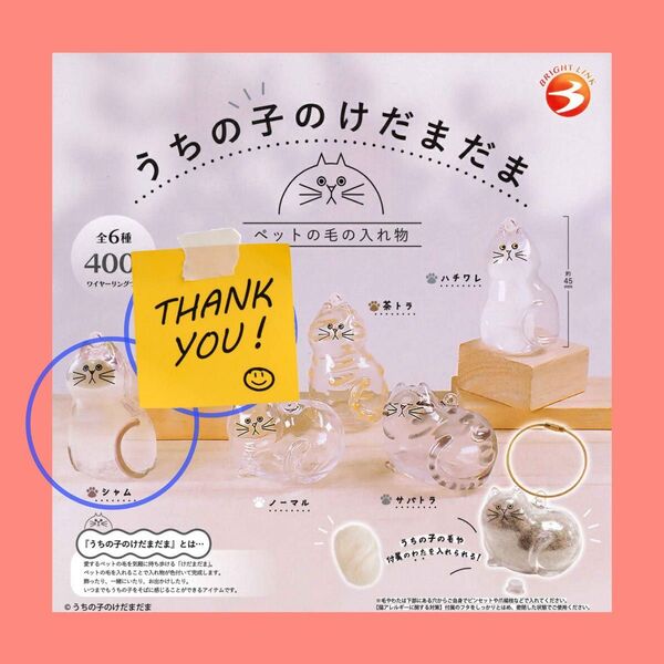 シャム 正規品 ◆ うちの子のけだまだま ガチャ
