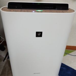 SHARP 加湿空気清浄機 KC-G40-W 2020年製