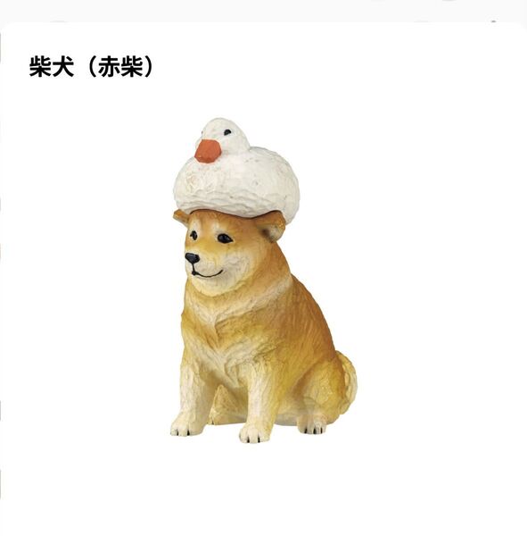 アヒルと犬 柴犬(赤柴)