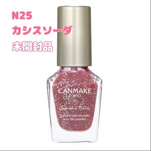 CANMAKE キャンメイク カラフルネイルズ N25 カシスソーダ 新品未使用