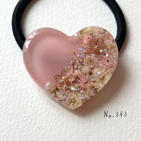 No.543 ハンドメイド ドライフラワー レジンヘアゴム