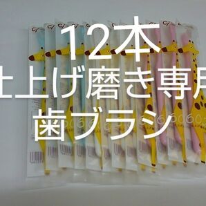 仕上げ磨き専用歯ブラシ Ci602 ふつう 12本セット(Ci603やわらかめ在庫少しあり