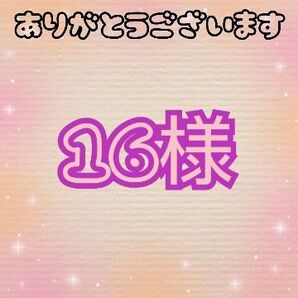 専用ページ16様