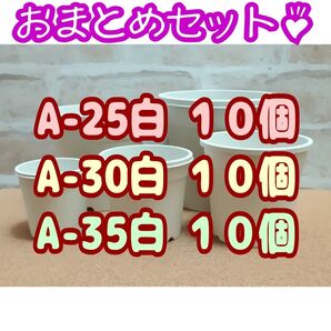 プラ鉢 30個 おまとめセット!【A-25・A-30・A-35 各10個】2.5号・3号・3.5号鉢 相当 プレステラ 多肉植物