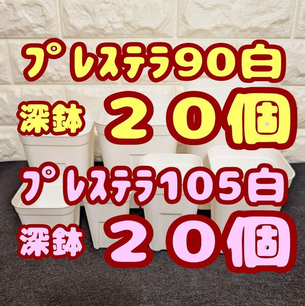 プレステラ深鉢90&105 白各20個 プラ鉢スリット鉢 多肉植物