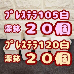 プレステラ深鉢105 20個・プレステラ深鉢120 20個 プラ鉢スリット鉢 多肉植物
