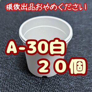 プラ鉢《A-30》白 20個 プラ鉢 3号相当 スリット鉢 多肉植物 プレステラ 植木鉢