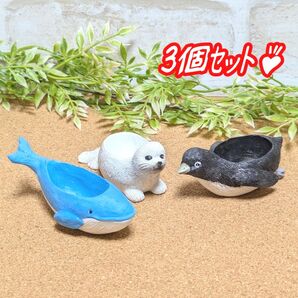 【ミニレジンポット:マリン3個set♪】植木鉢 多肉植物 寄せ植え プラ鉢 プレステラ
