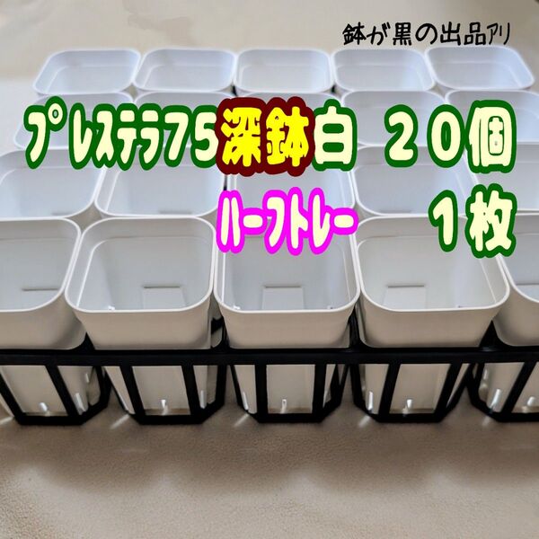 《プレステラ75深鉢白20個+ハーフトレー1枚》プラ鉢 スリット鉢 多肉植物