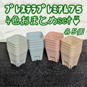 プレステラプレミアム75おまとめset♪4色各5個 多肉植物プラ鉢スリット鉢