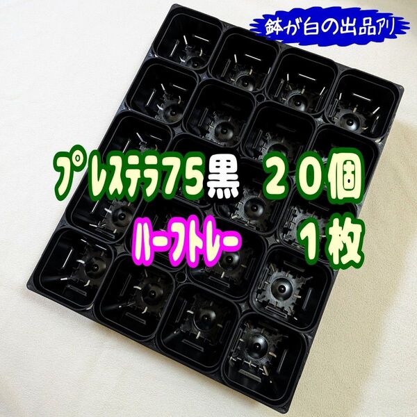 《プレステラ75黒20個+ハーフトレー1枚》プラ鉢 スリット鉢 多肉植物