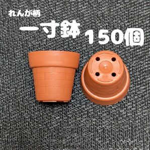 一寸鉢(れんが柄) 150個セット 1号鉢 1号ポット 1号プラ鉢 プレステラ