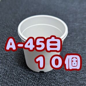 プラ鉢《A-45》白 10個 プラ鉢 4.5号相当 スリット鉢 多肉植物 プレステラ 植木鉢