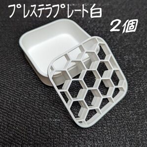 プレステラプレート白2個プラ鉢スリット鉢多肉植物R3LABO/UKEZARA