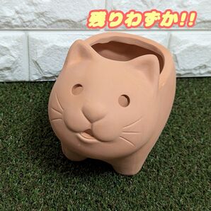 【ねこ:L】 テラコッタ アニマルポットプランター多肉植物プラ鉢プレステラ