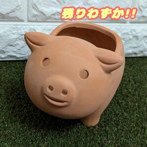 【ぶた:L】 テラコッタ アニマルポットプランター多肉植物プラ鉢プレステラ