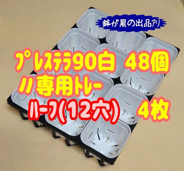 《プレステラ90白48個+専用システムトレー:ハーフ4枚》プラ鉢 スリット鉢 多肉植物