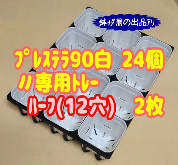 《プレステラ90白24個+専用システムトレー:ハーフ2枚》プラ鉢 スリット鉢 多肉植物
