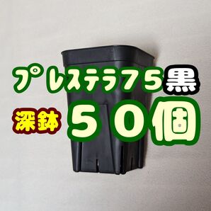 プレステラ深鉢75 黒 50個 プラ鉢 スリット鉢 多肉植物