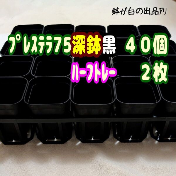 《プレステラ75深鉢黒40個+ハーフトレー2枚》プラ鉢 スリット鉢 多肉植物
