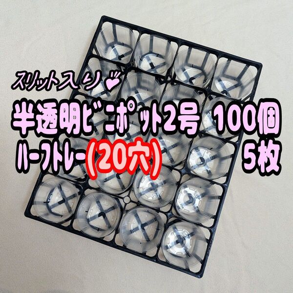 2号6cm スリット入り半透明ビニールポット 100個+ハーフトレー5枚 プラ鉢 ポリポット 多肉植物プレステラ