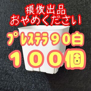 《プレステラ90》白 100個 プラ鉢スリット鉢 多肉植物 植木鉢 【3号鉢】 相当