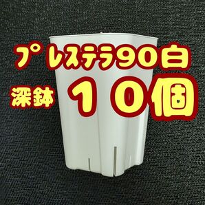 プレステラ深鉢90 白 10個 プラ鉢 スリット鉢 多肉植物