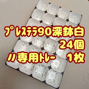 プレステラ90深鉢白24個+専用システムトレー1枚 プラ鉢 スリット鉢 多肉植物