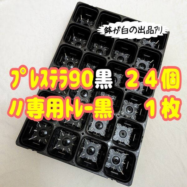 《プレステラ90黒24個+専用システムトレー黒1枚》 プラ鉢 スリット鉢 多肉植物
