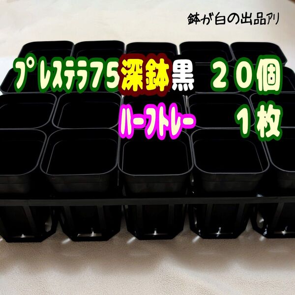 《プレステラ75黒20個+ハーフトレー1枚》プラ鉢 スリット鉢 多肉植物