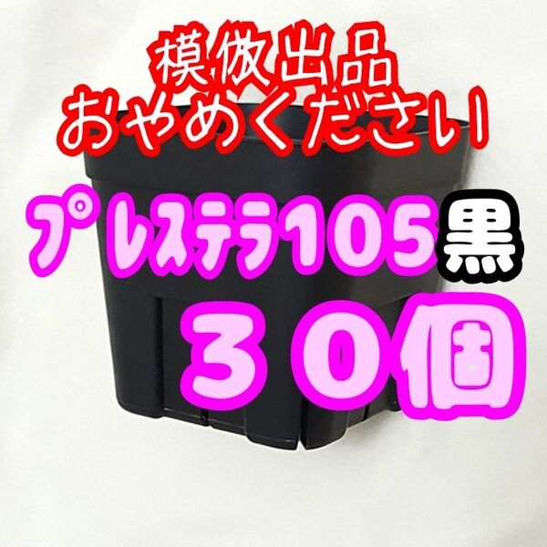 《プレステラ105》黒 30個 スリット鉢 プラ鉢 3.5号鉢 相当 多肉植物