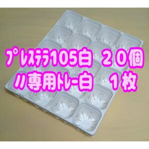 《プレステラ105白20個+専用システムトレー白1枚》 プラ鉢 スリット鉢 多肉植物
