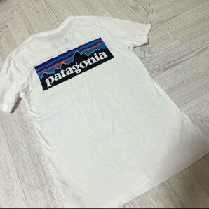 Patagonia Tシャツ 白 オーガニックコットンXS