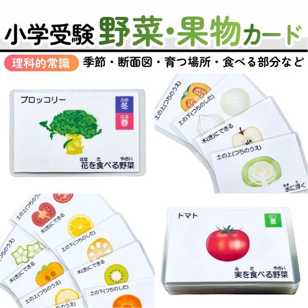 野菜・果物カード 小学校受験教材 理科的常識 幼児教育 知育 断面図 旬の季節