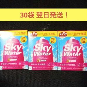 クラシエ スカイウォーター ライチ味 1L用 計30袋 翌日発送!粉末飲料