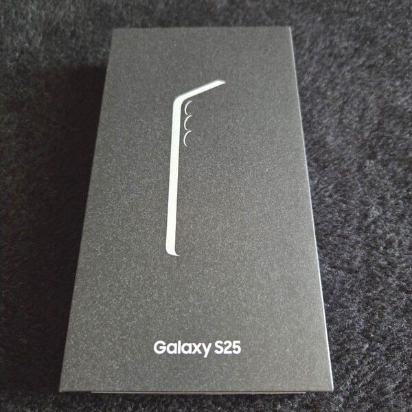 Samsung Galaxy S25 Mint 256GB 空箱 ケーブル付属品