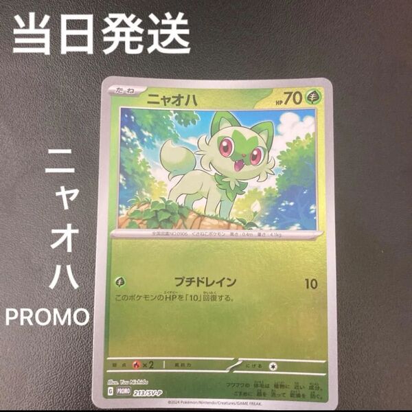 ポケカ ニャオハ PROMO 213/SV-P ポケモンカードゲーム ポケカの夏がキタ!プロモカードGETキャンペーン 当日発送