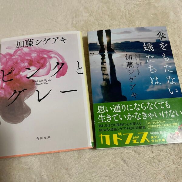 ピンクとグレー 傘を持たない蟻たちは 加藤シゲアキ/〔著〕