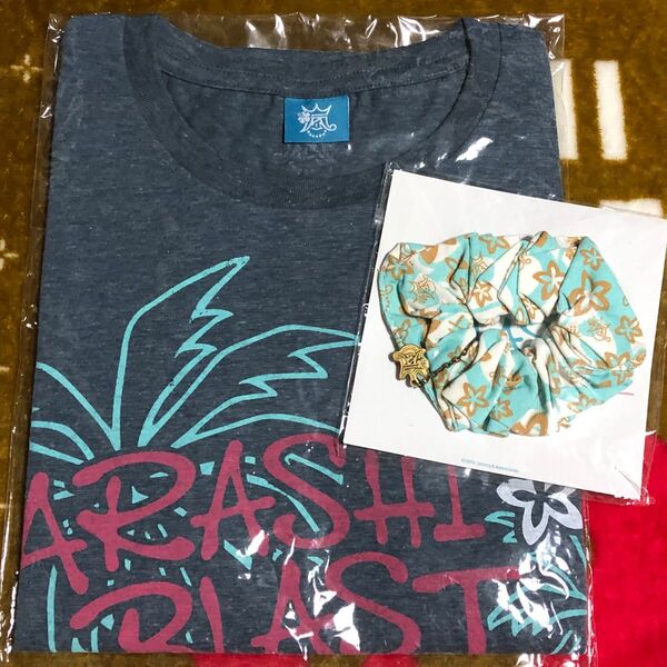 嵐/ARASHI BLAST in Hawaii Tシャツ