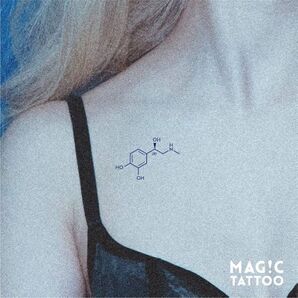 化学式 元素記号 2週間で消えるタトゥー ヘナタトゥー 韓国タトゥーシール