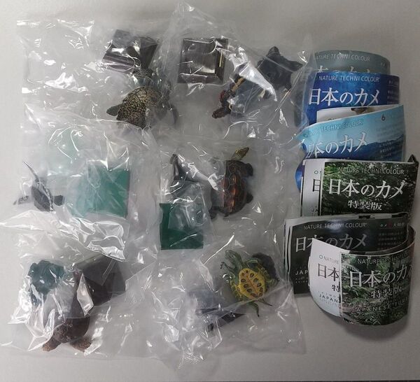 ネイチャーテクニカラー 日本のカメ 特装版 6種コンプセット