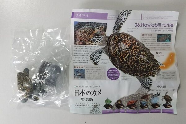ネイチャーテクニカラー 日本のカメ 特装版 タイマイ