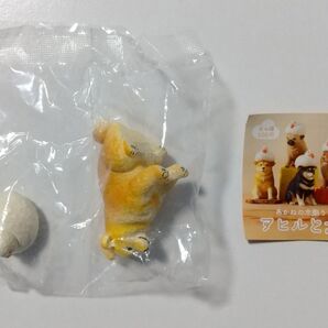 あかねの木彫り アヒルと犬 柴犬(赤柴)