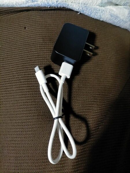 SwitchやAndroidで使用出来る充電器アダプタタイプC