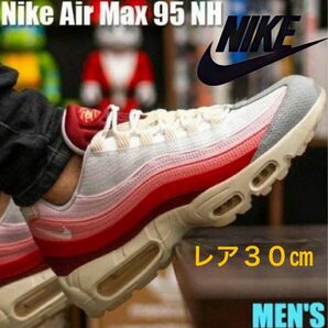 NIKE エアマックス95 NIKE AIR MAX 95 QS DM0012-600 30㎝