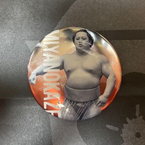 関取全員集合缶バッジ 宮乃風