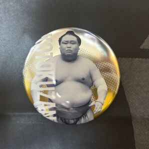 荒篤山 関取全員集合缶バッジ