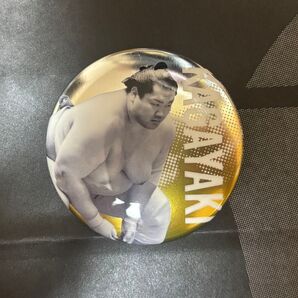 輝 関取全員集合缶バッジ